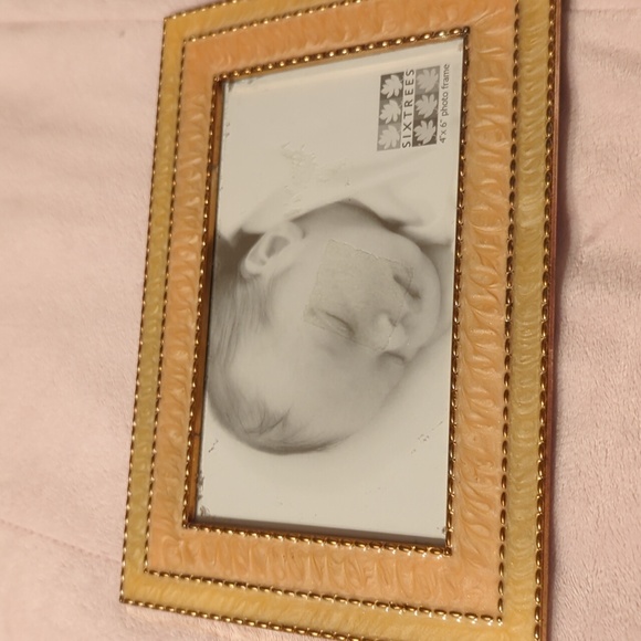 Six Trees 4x6. Lite Yellow and Peach Frame SALE SALE - Picture 1 of 3